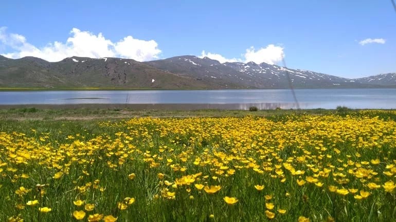 Ardabil Travel Guide Image