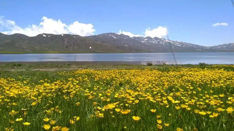 Ardabil Travel Guide