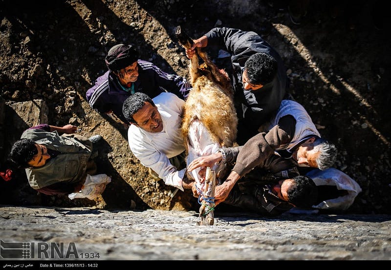 Pir Shalyar: Ancient Mountain Ritual In Kurdistan Image