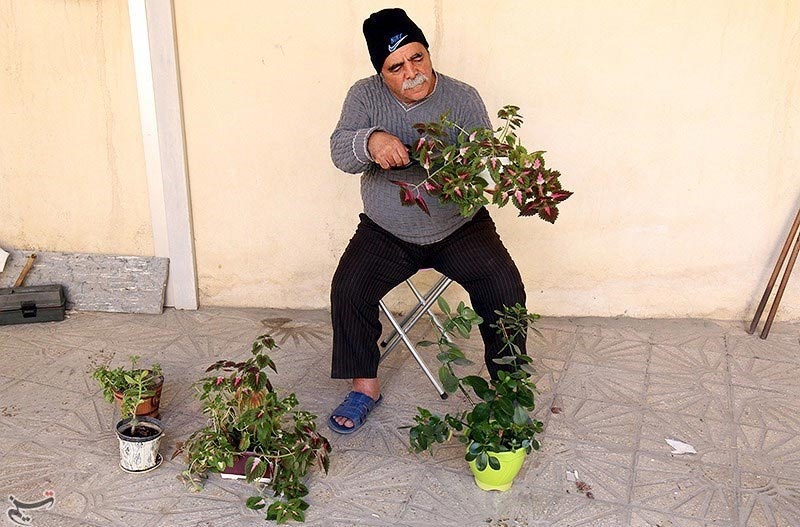 Iranian Preparing To Celebrate Nowruz: The Persian New Year Iranian Preparing To Celebrate Nowruz: The Persian New Year