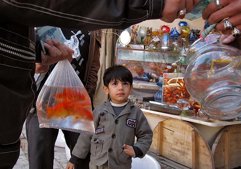 Iranian Preparing To Celebrate Nowruz: The Persian New Year Iranian Preparing To Celebrate Nowruz: The Persian New Year