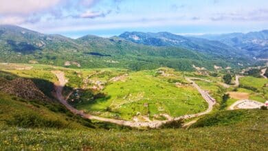 Fandoqloo Forest 6 Fandoqloo Forest, Ardabil, Iran
