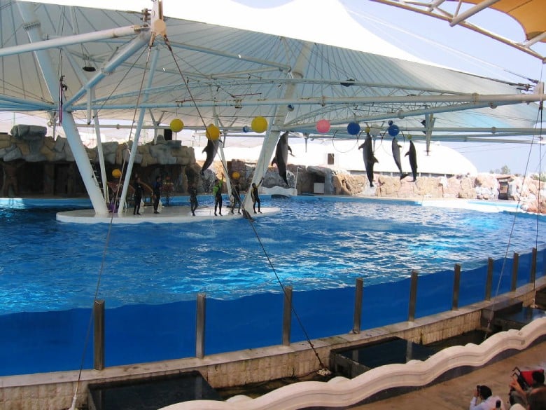 Kish Dolphin Park 7 Dolphin Park, Kish Island