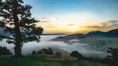 10 Untouched Destinations In Iran For Nowruz Travel 5 Untouched Destinations In Iran (Jangal-E Abr)