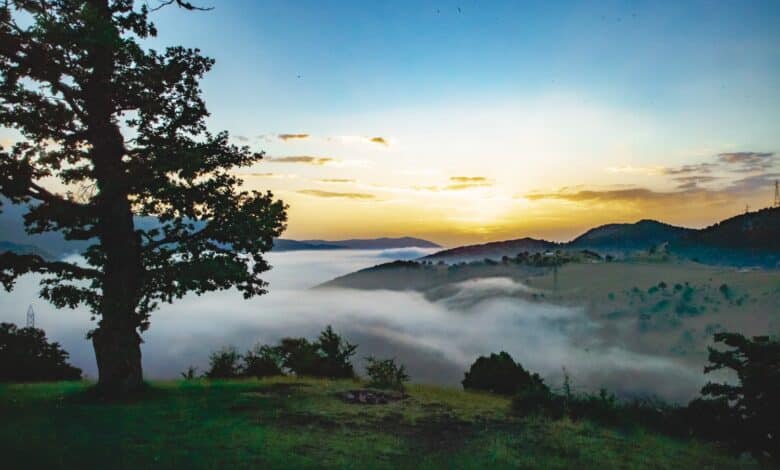 10 Untouched Destinations In Iran For Nowruz Travel 1 Untouched Destinations In Iran (Jangal-E Abr)