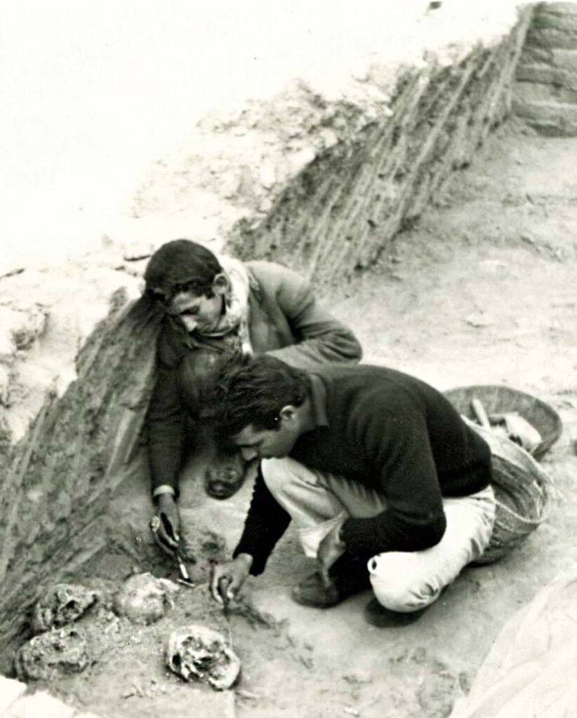 Haft Tappeh Archaeological Site: All You Need To Know 5 The Mass Grave At The Haft Tappeh Archaeological Site