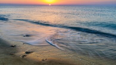Hendurabi Island, Persian Gulf, Iran