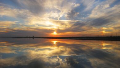 Explore Larak Island: What You Need To Know For Your Journey 1 Larak Island, Hormozgan Province, Iran