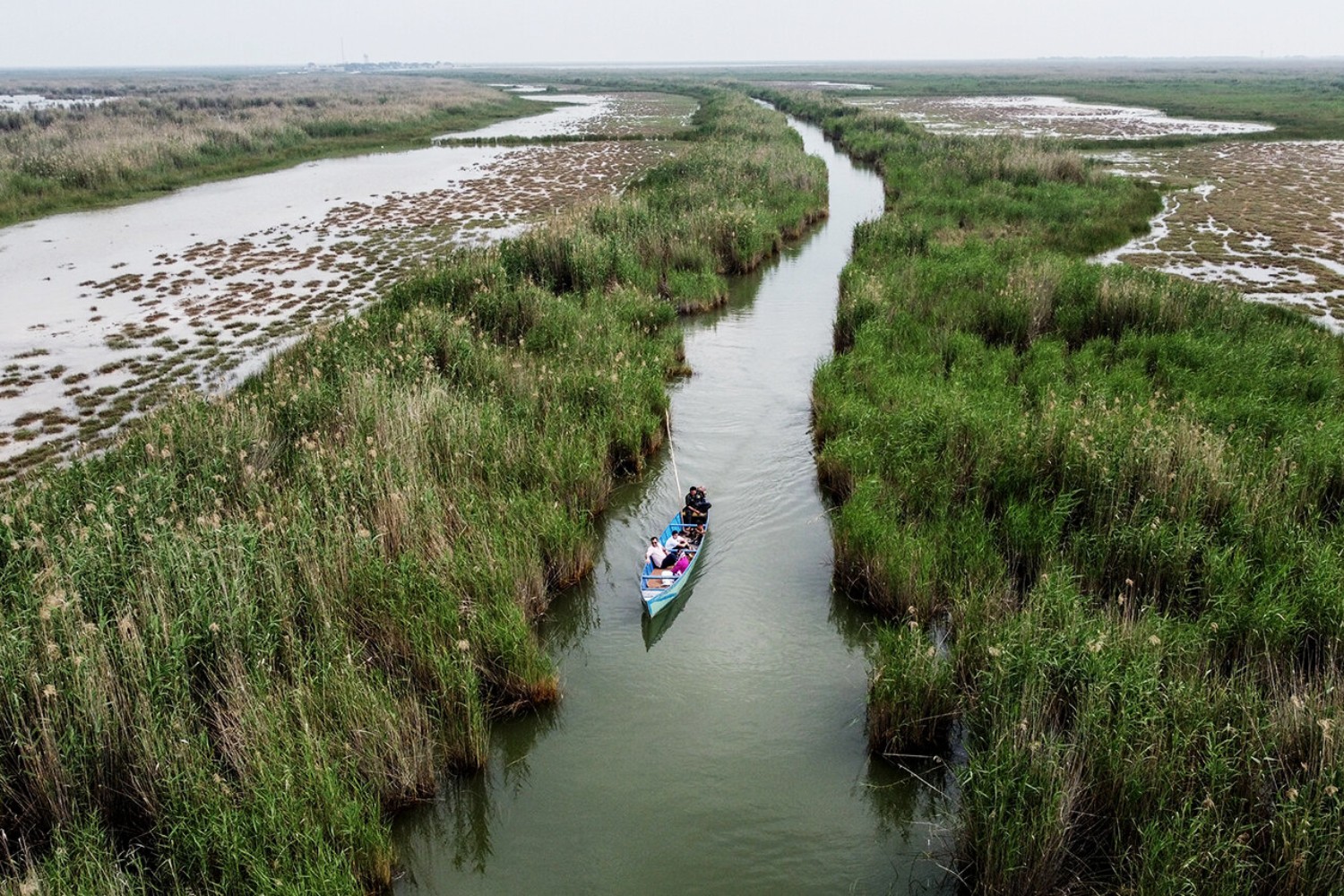 Discover The Shadegan International Wetland