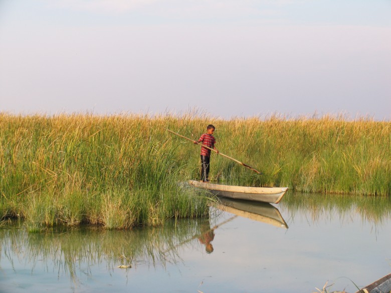 Discover The Shadegan International Wetland 2 Shadegan Wetland