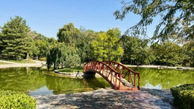 Tehran Botanical Garden: A Traveler'S Guide 1 Tehran Botanical Garden