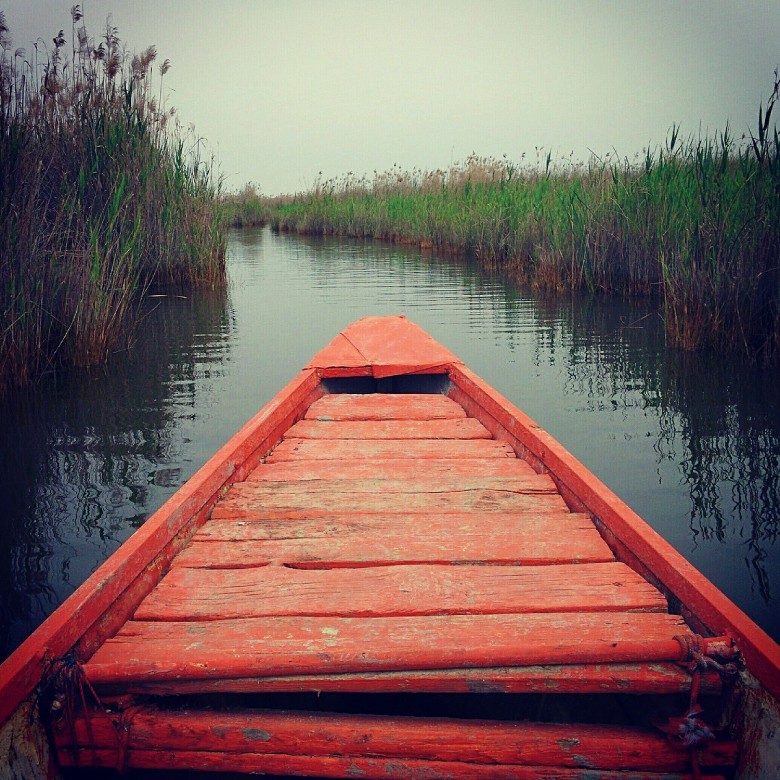 Discover The Shadegan International Wetland