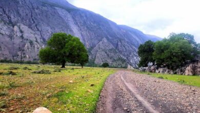 Andimeshk Travel Guide; A City With Amazing Rivers And Dams 2 Andimeshk Travel Guide, Khuzestan, Iran