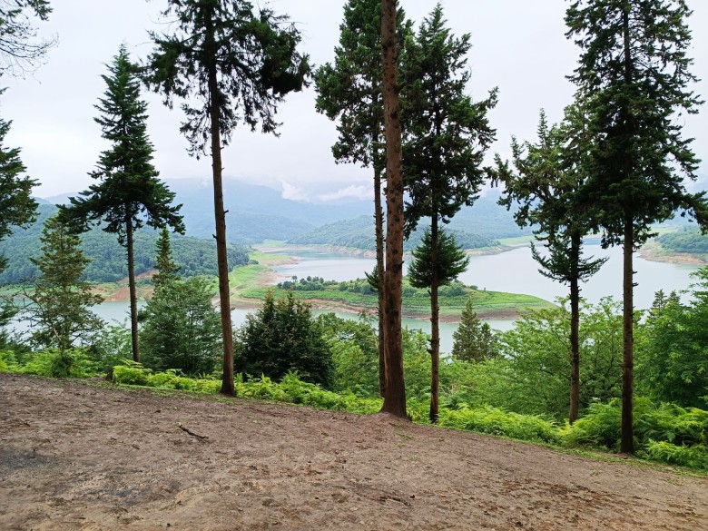 Lafoor Forest In Mazandaran: A Millennium Of Iranian Nature!