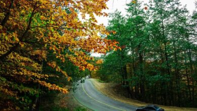 Best Routes For Traveling From Tehran To Tabriz