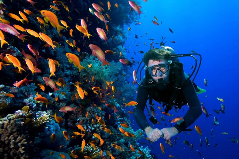 Explore The Best Diving Spots In Qeshm Island 3 Diving At Persepolis Site In Qeshm