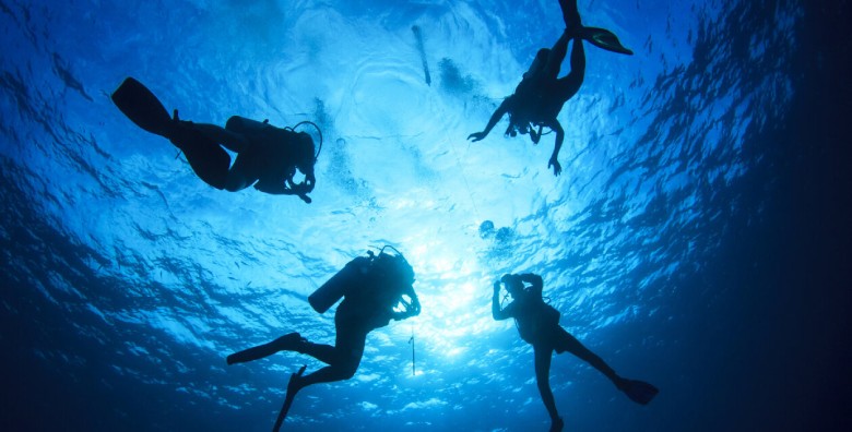 Explore The Best Diving Spots In Qeshm Island 7 Diving At Valley Of Stars Site