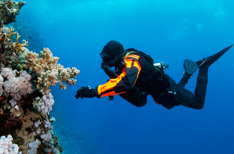 Explore The Best Diving Spots In Qeshm Island 5 Espringi Diving In Qeshm