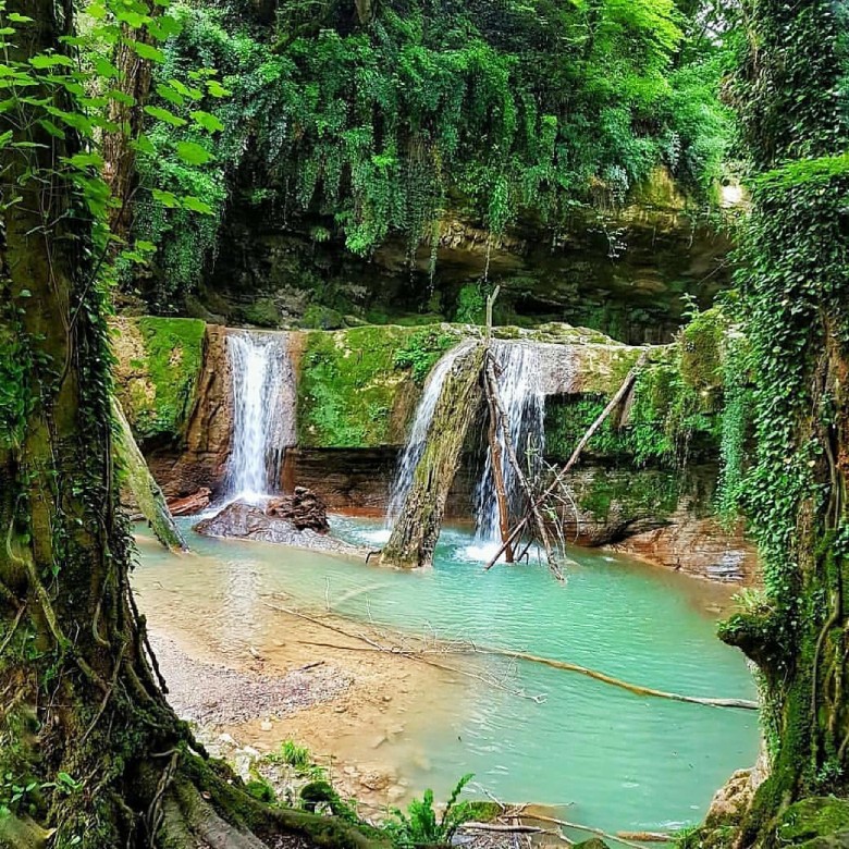 Lafoor Forest In Mazandaran: A Millennium Of Iranian Nature!