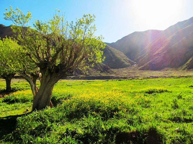 Top 10 Natural Attractions Near Tehran 11 Afjeh Village, Tehran Province