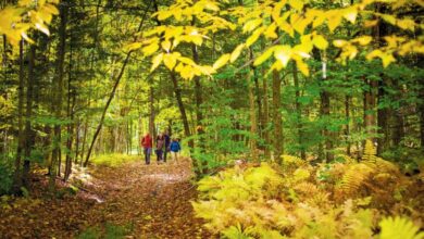 Hiking Iran'S Natural Wonders: Guided Walking Tours 2 Guided Walking Tours In Iran