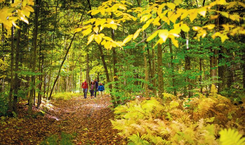 Hiking Iran'S Natural Wonders: Guided Walking Tours 1 Guided Walking Tours In Iran