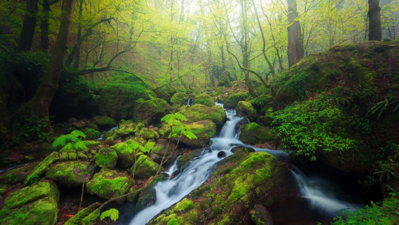 Hiking Iran'S Natural Wonders: Guided Walking Tours 16 Hyrcanian Forests, Iran