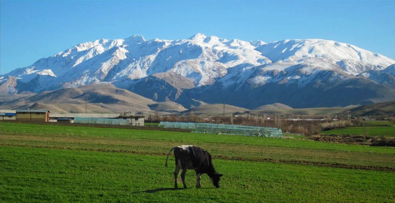 Hiking Iran'S Natural Wonders: Guided Walking Tours 11 Oshtorankuh Zagros Mountains