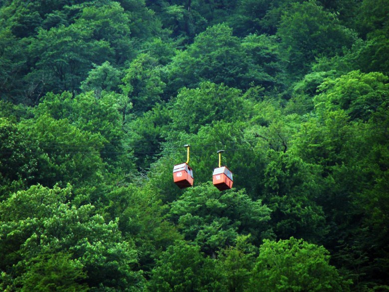 Hiking Iran'S Natural Wonders: Guided Walking Tours 13 The Lush Forests Of Northern Iran