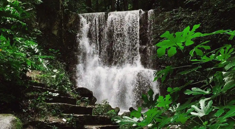 The Most Famous Cities Of Gilan You Must Visit 34 Lounak Waterfall, Siahkal