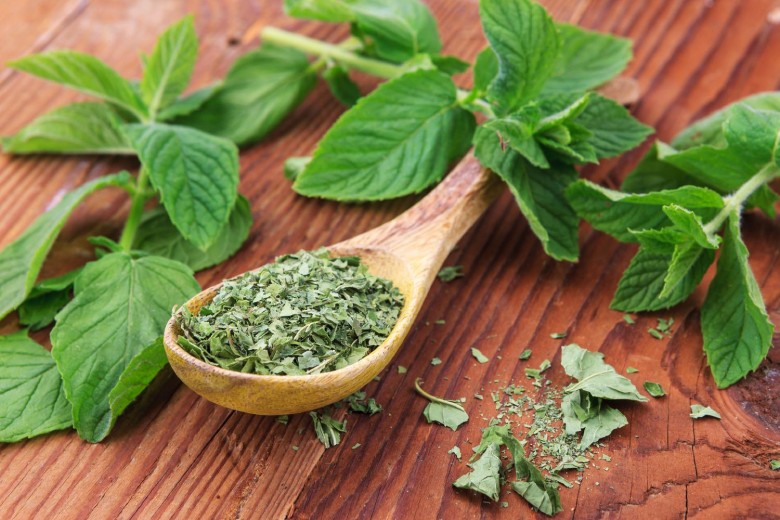 14 Popular And Authentic Iranian Spices In Cooking 16 Mint