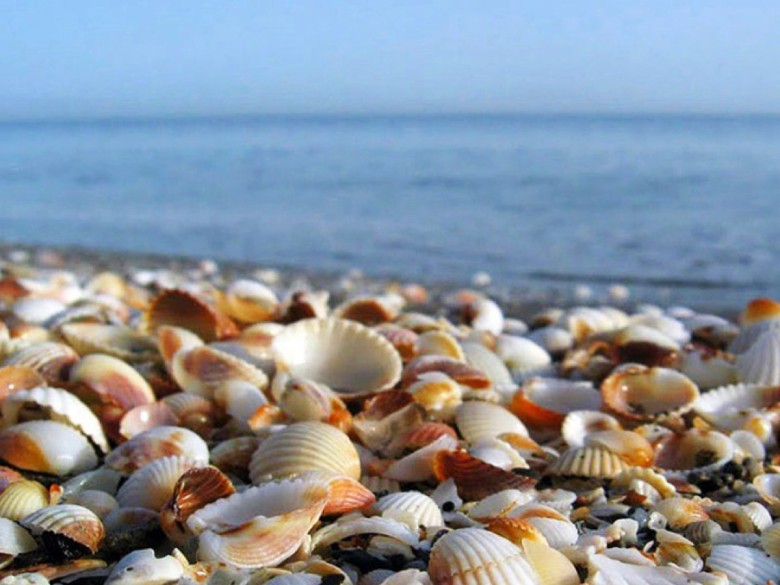 The Most Famous Cities Of Gilan You Must Visit 28 Sadaf Beach, Astara
