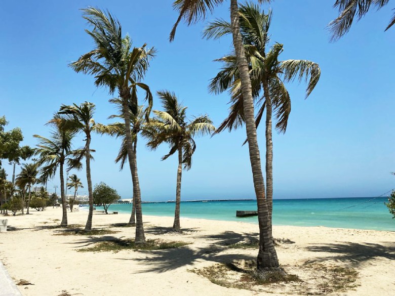 Best Time To Visit Kish Island: A Complete Seasonal Guide 2 Kish Island In Winter