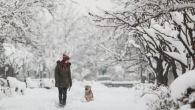 Does It Snow In Iran? A Traveler’s Winter Guide 3 Does It Snow In Iran?