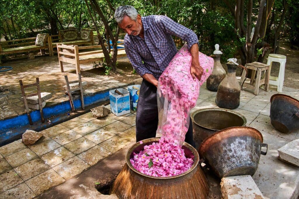 Traditional Rose Water Distillation, Kashan