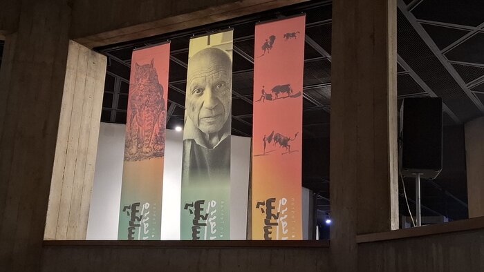 Picasso In Tehran: A Historic Exhibition Brings Hidden Masterpieces To Light 5 Picasso In Tehran
