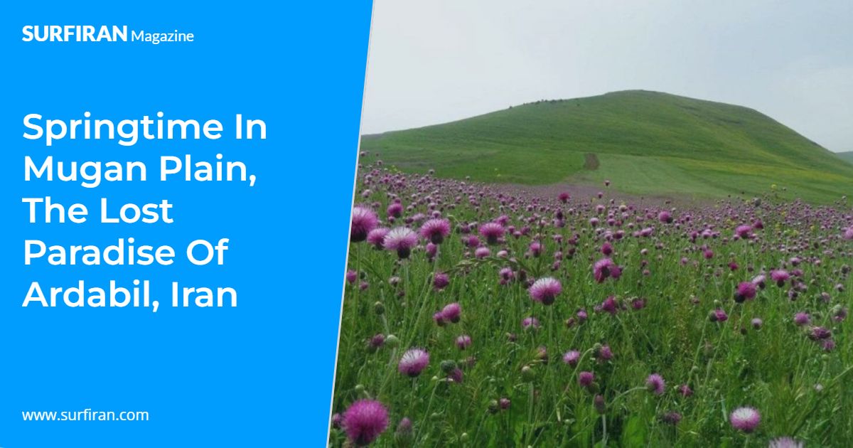 Springtime in Mugan Plain, The Lost Paradise of Ardabil, Iran – SURFIRAN
