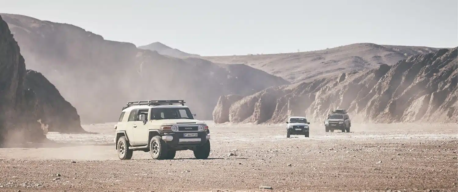 Сафари в пустыне Ирана