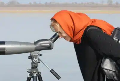 Тур по наблюдению за птицами в Иран