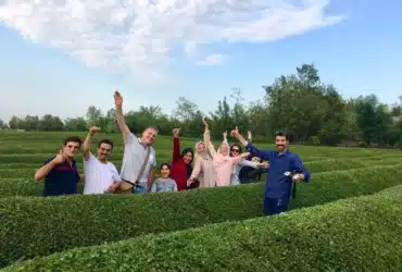 Iran Tea Tour