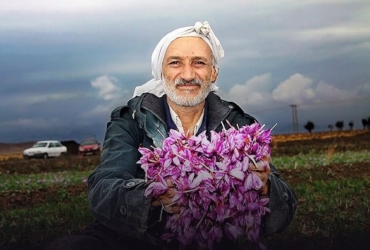 Iranian Saffron Farm Tour