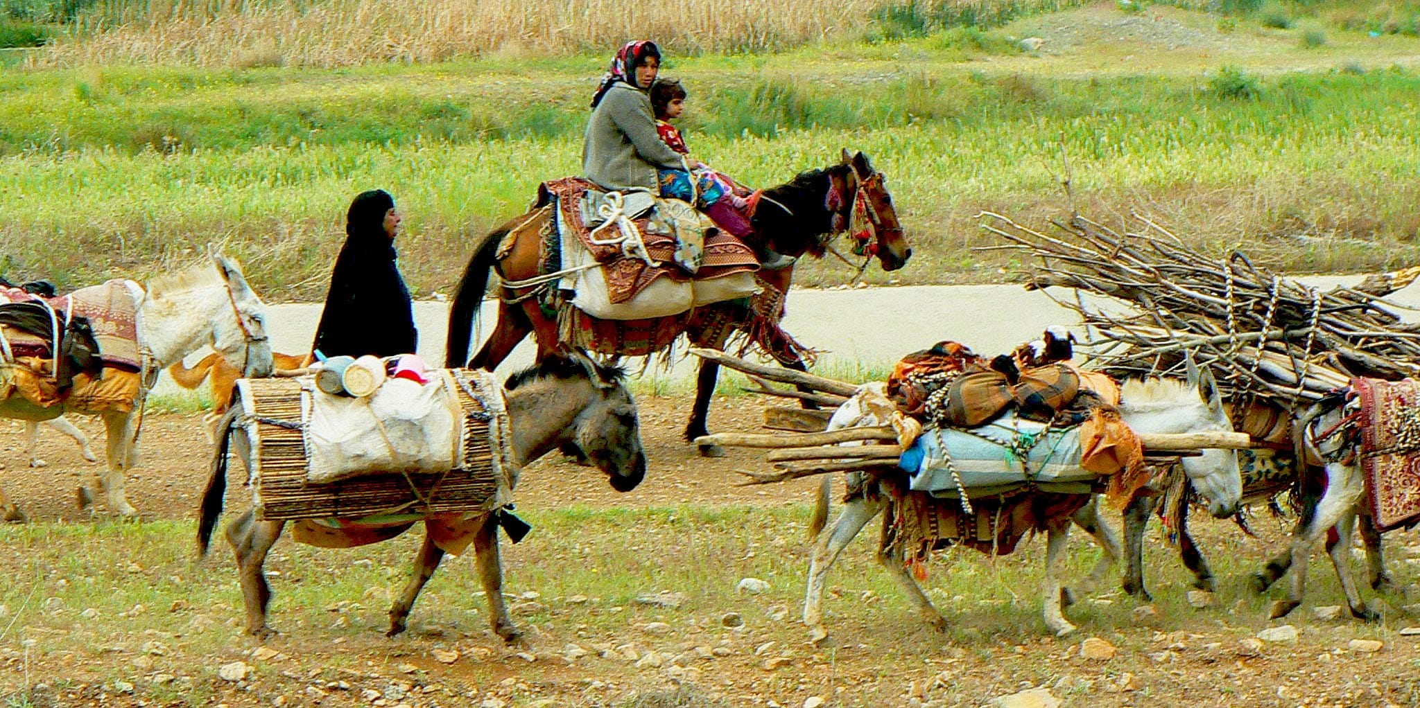 nomadic tour iran