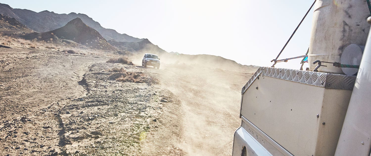 Iran Safari Tours - Best Safari Packages 2019 and 2020