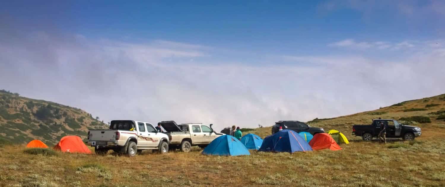 Iran Safari Tours - Best Safari Packages 2019 and 2020
