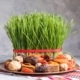 Nowruz (Persian New Year)