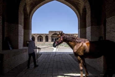 11-Day Discovery Of The Silk Road In Iran (Eastern Part)